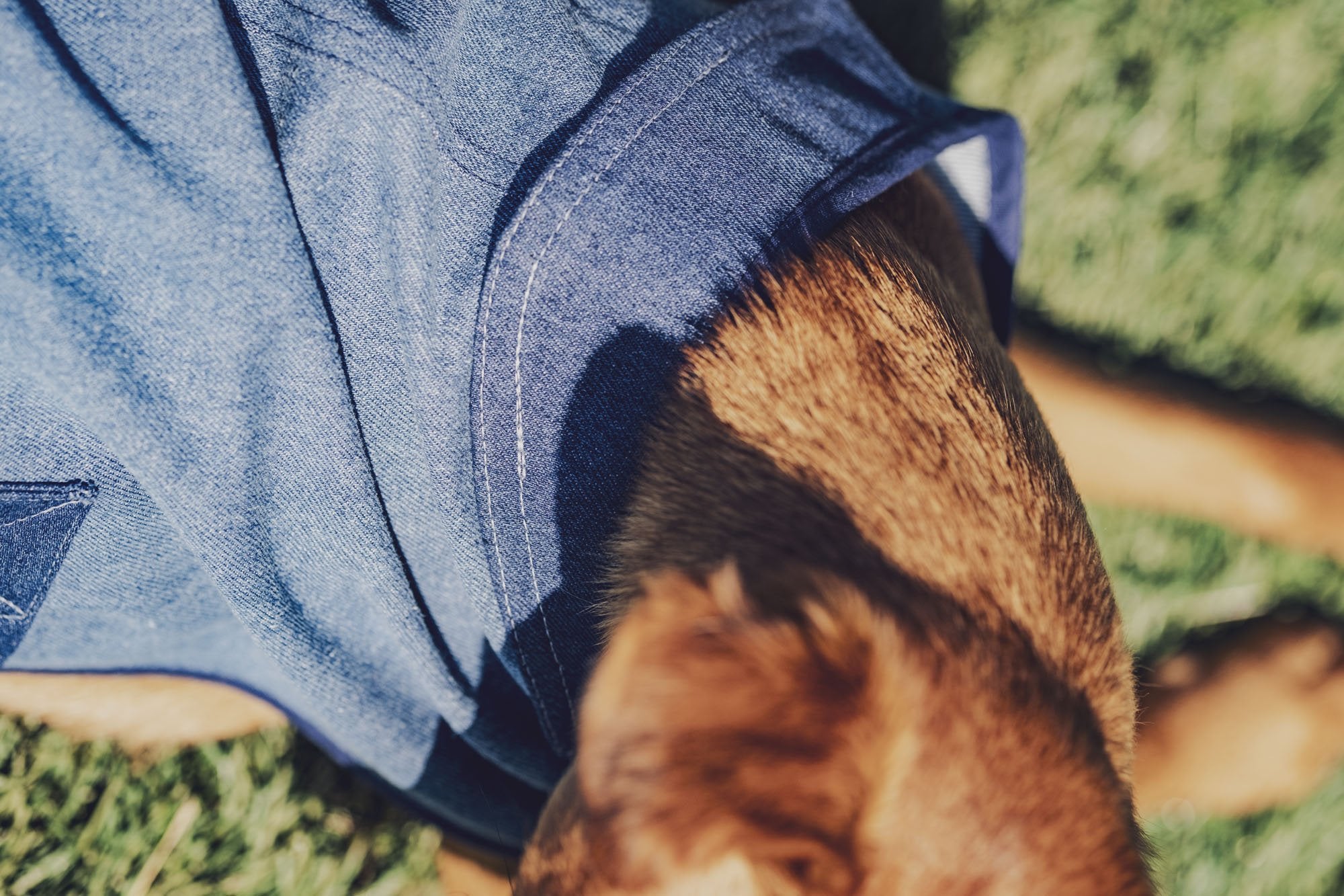 fibre-mood-salsa-manteau-pour-chien-patron-de-couture image 3