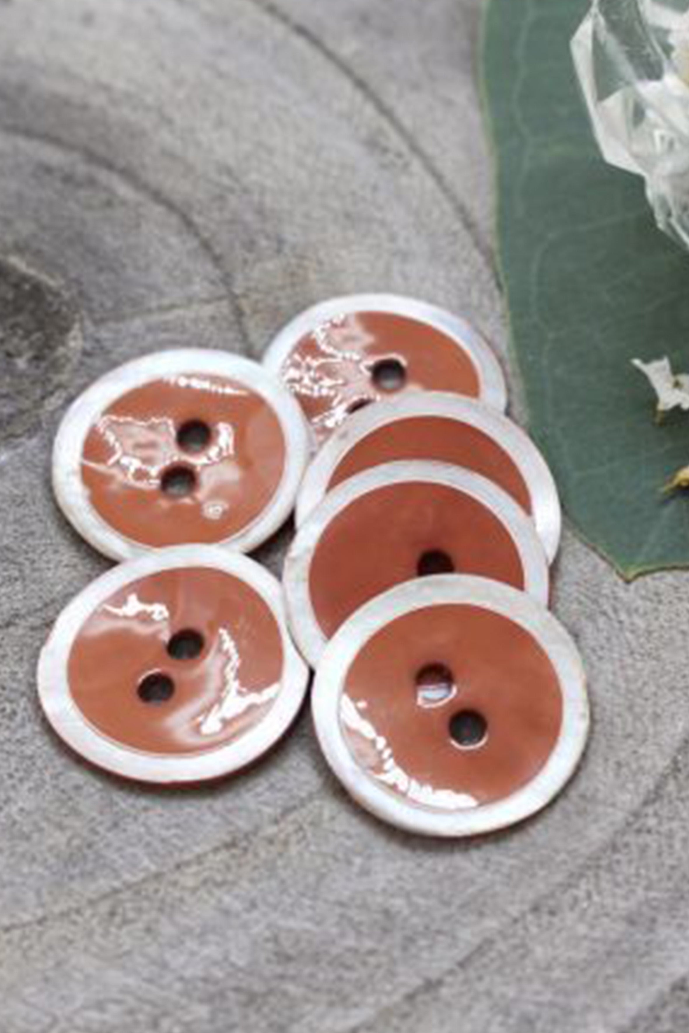 atelier-brunette-boutons-halo-chestnut-x10 image 1