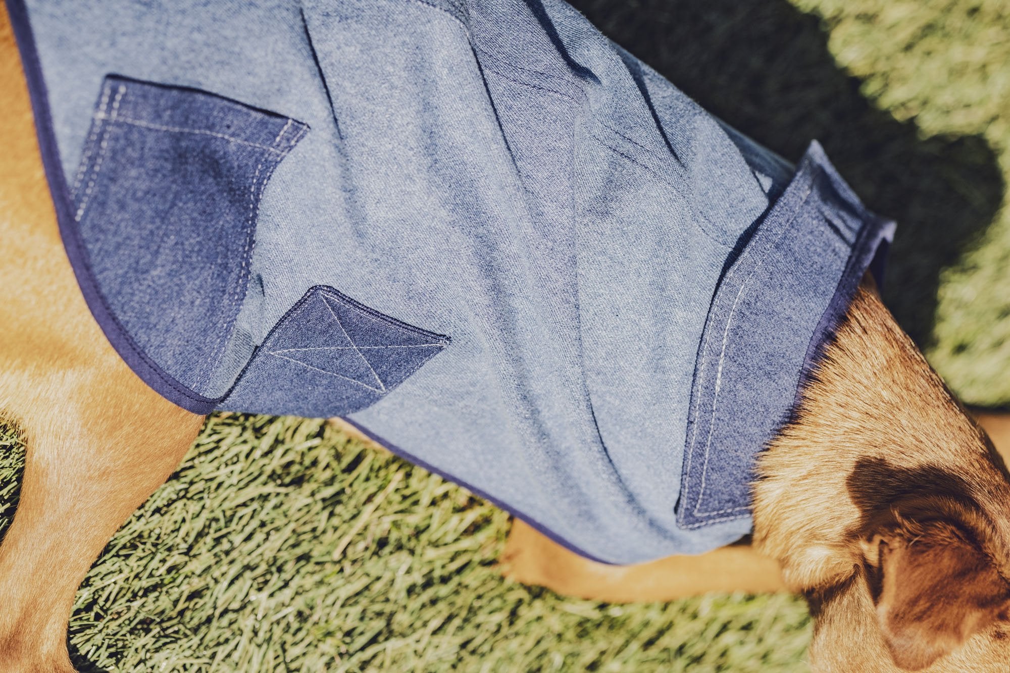 fibre-mood-salsa-manteau-pour-chien-patron-de-couture image 4