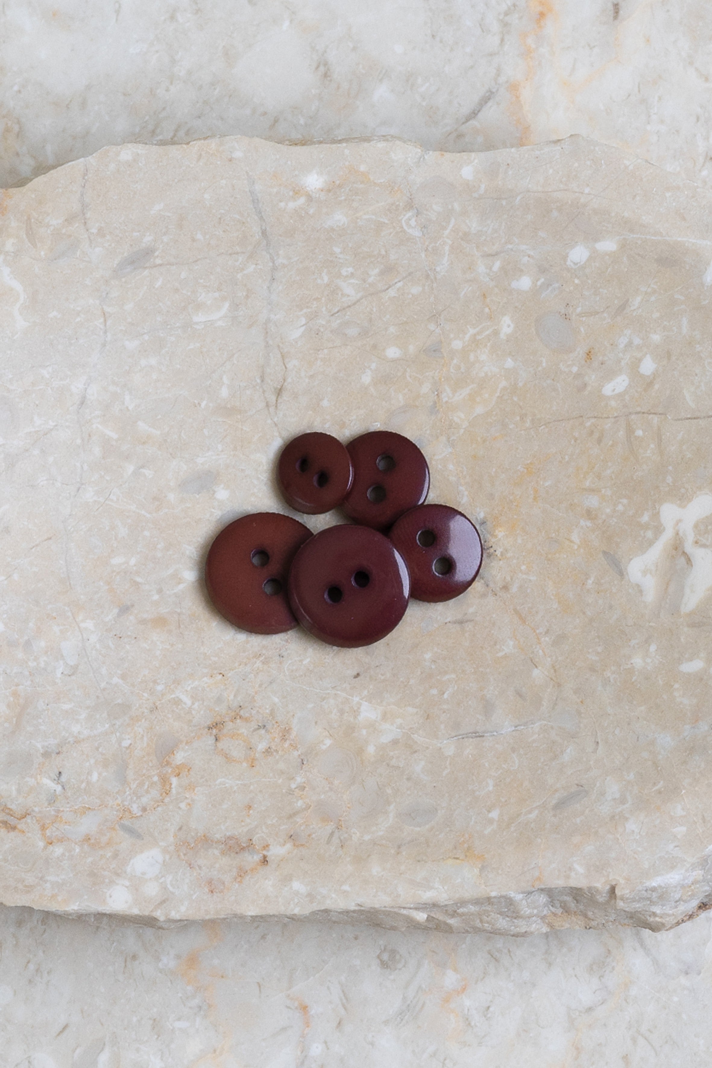 atelier-brunette-boutons-classic-shine-rust-crispy-brownie image 2