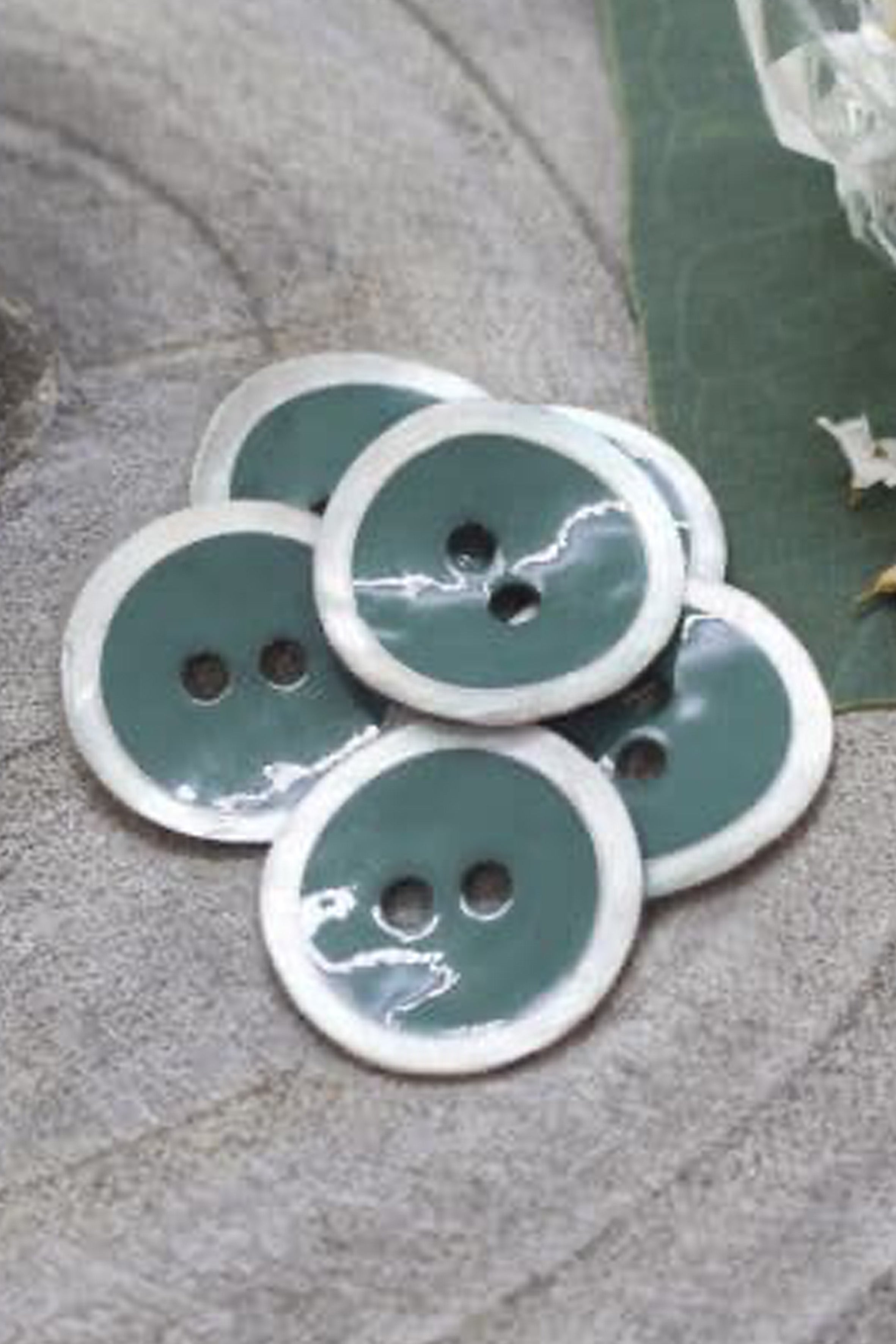 atelier-brunette-halo-boutons-cactus-x10 image 2