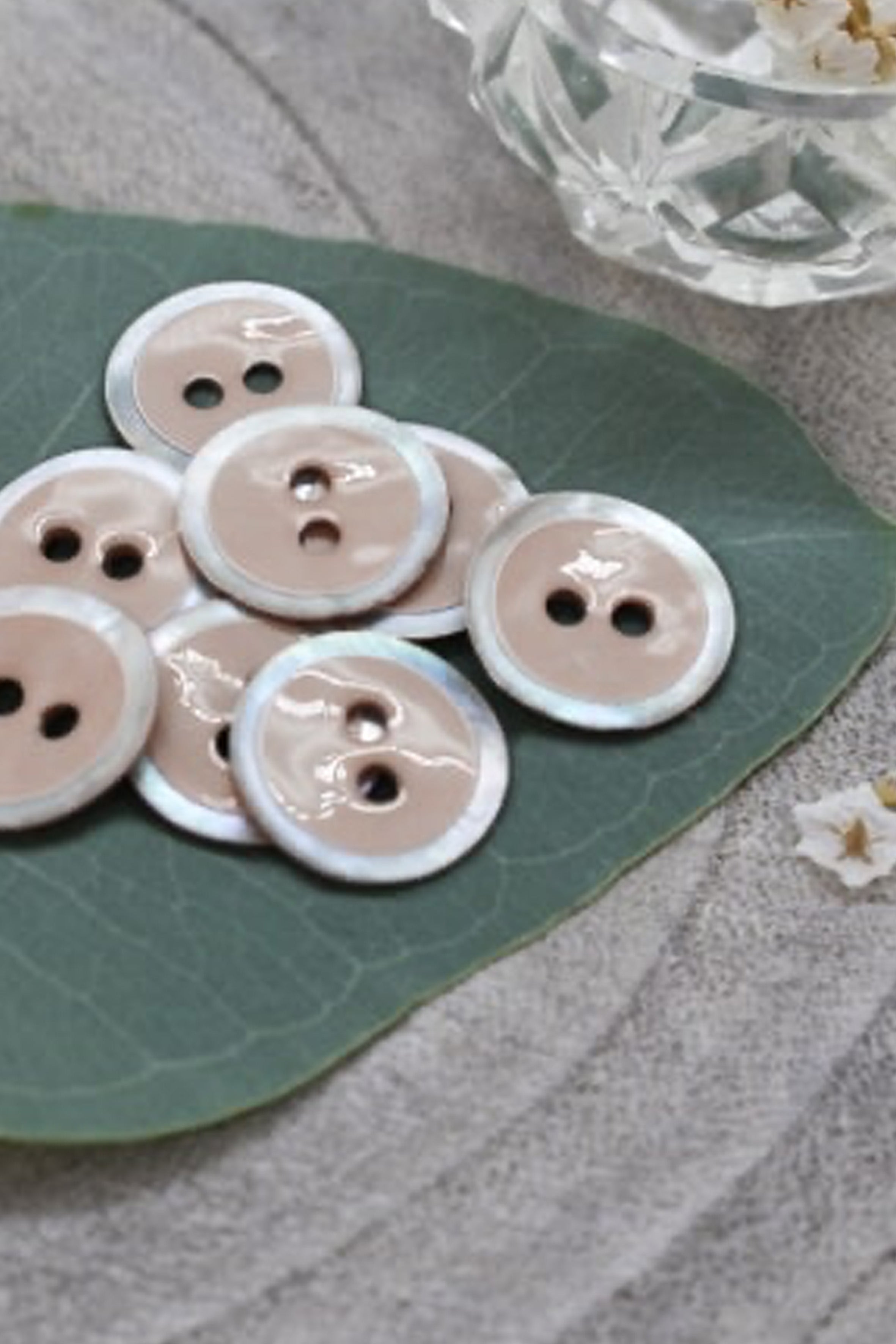 atelier-brunette-halo-boutons-blush-x10-nacre-akoya image 2