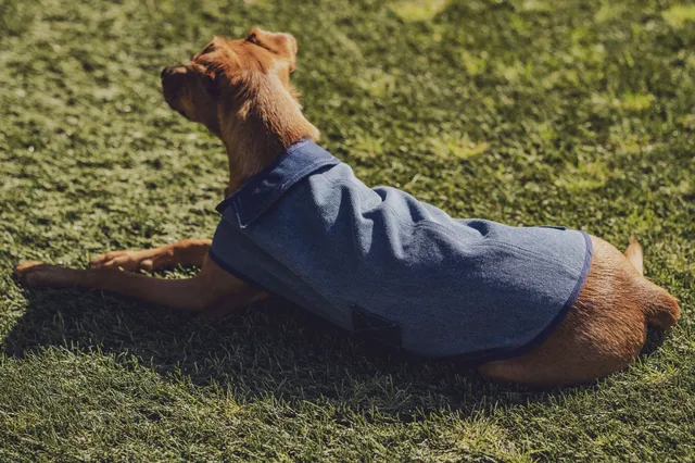fibre-mood-salsa-manteau-pour-chien-patron-de-couture image 1