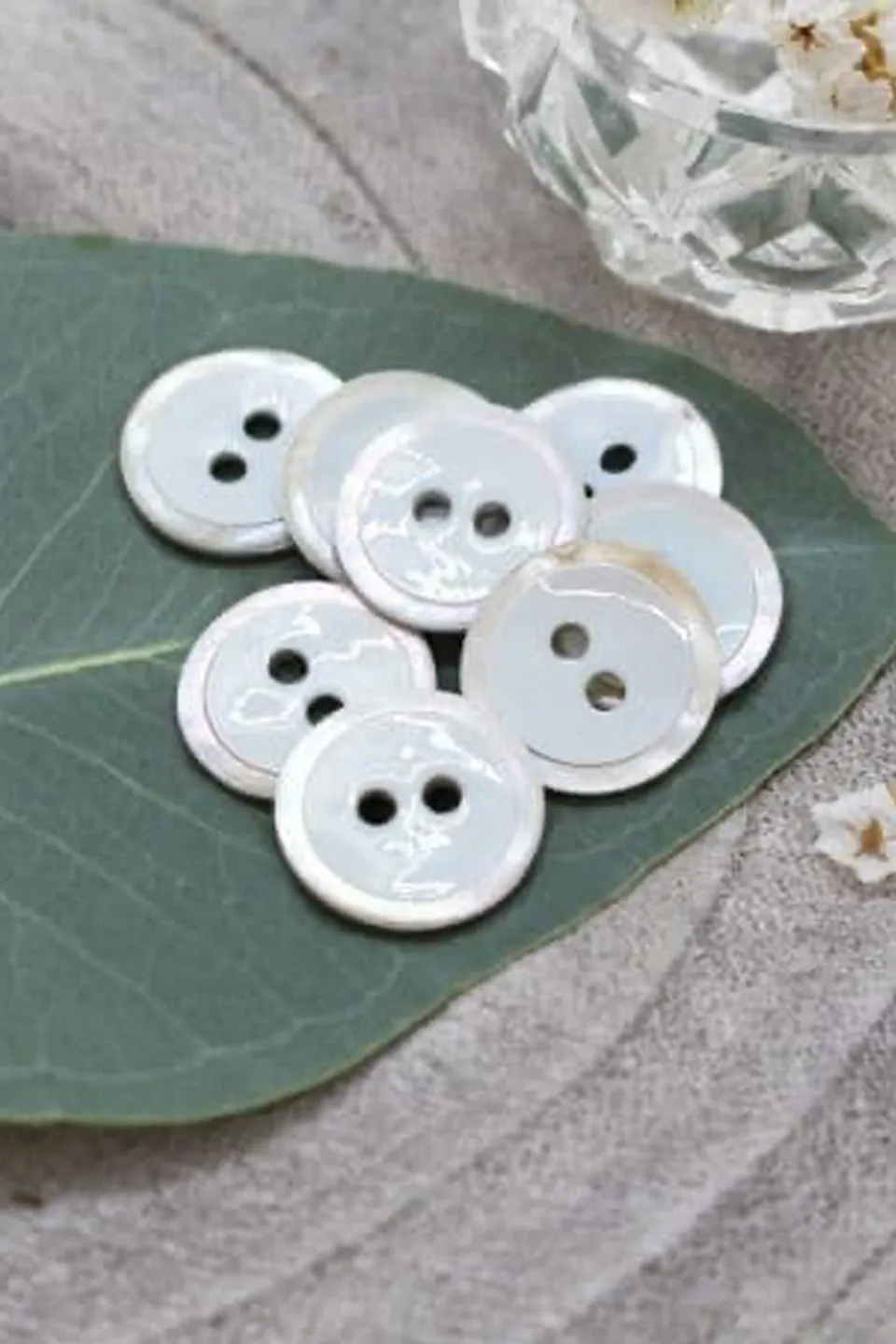 atelier-brunette-boutons-halo-sage-x10-boutons-nacre-akoya-laqu-e image 1