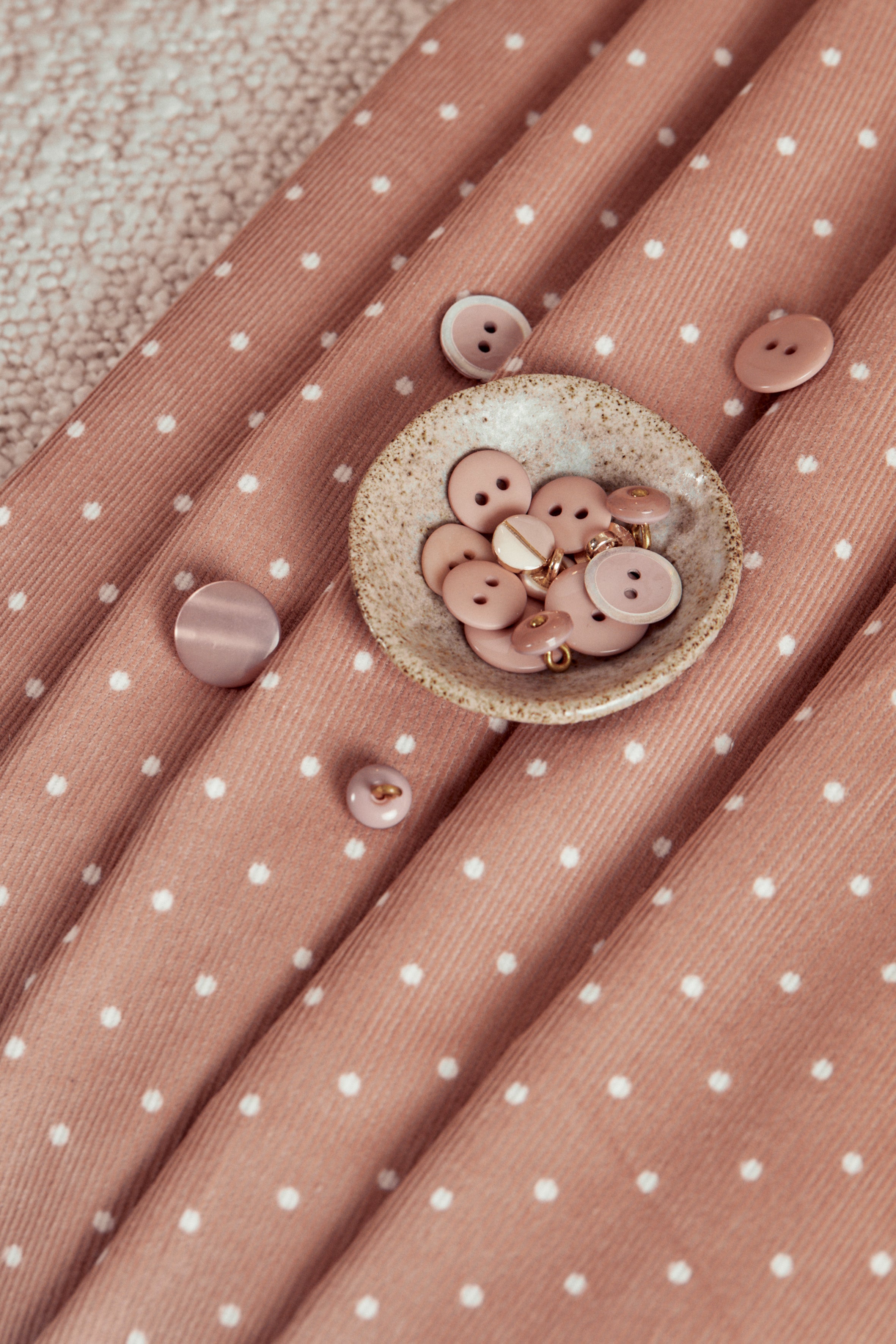 atelier-brunette-tissu-velours-milleraies-pois-maple-140-cm image 2