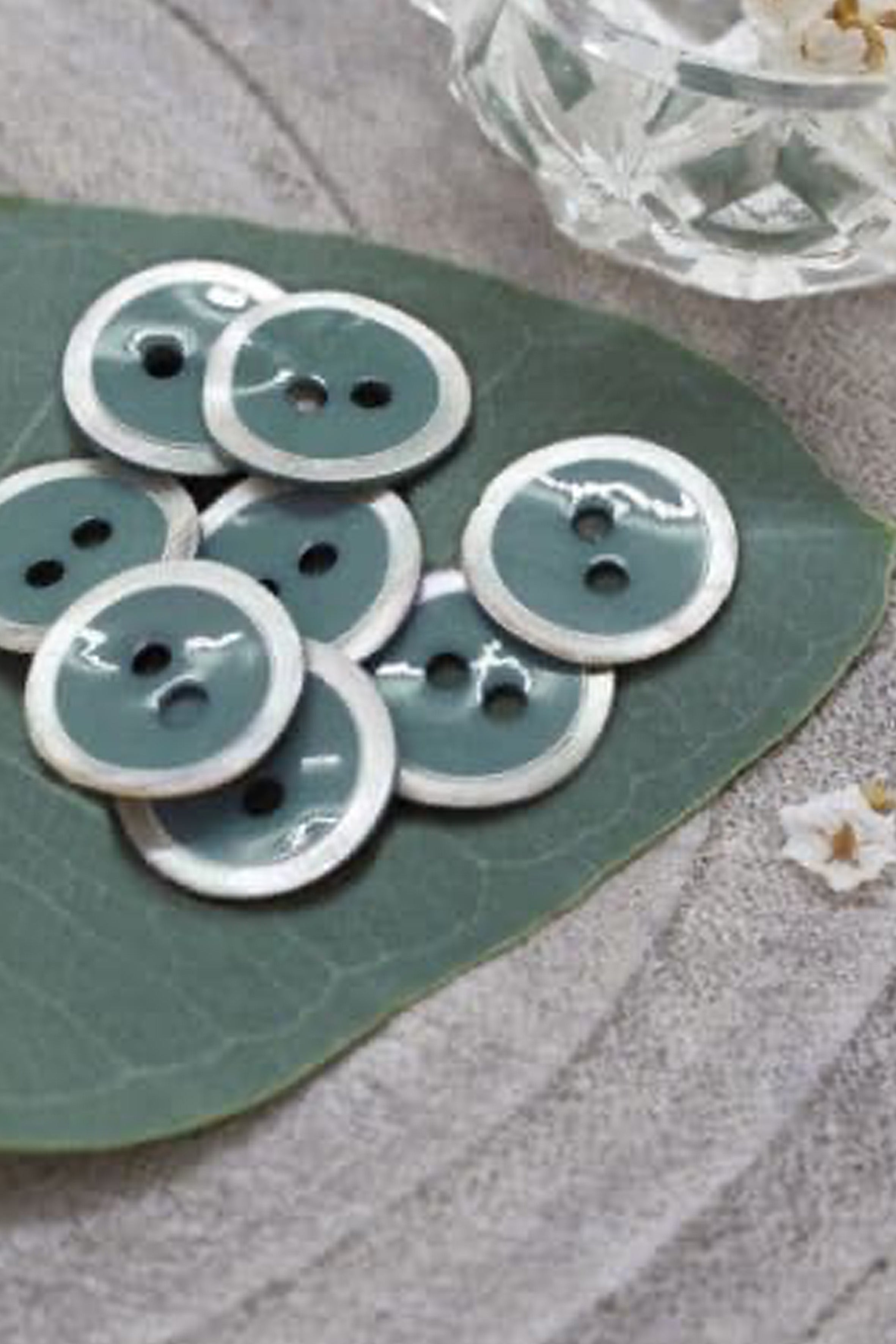 atelier-brunette-halo-boutons-cactus-x10 image 1