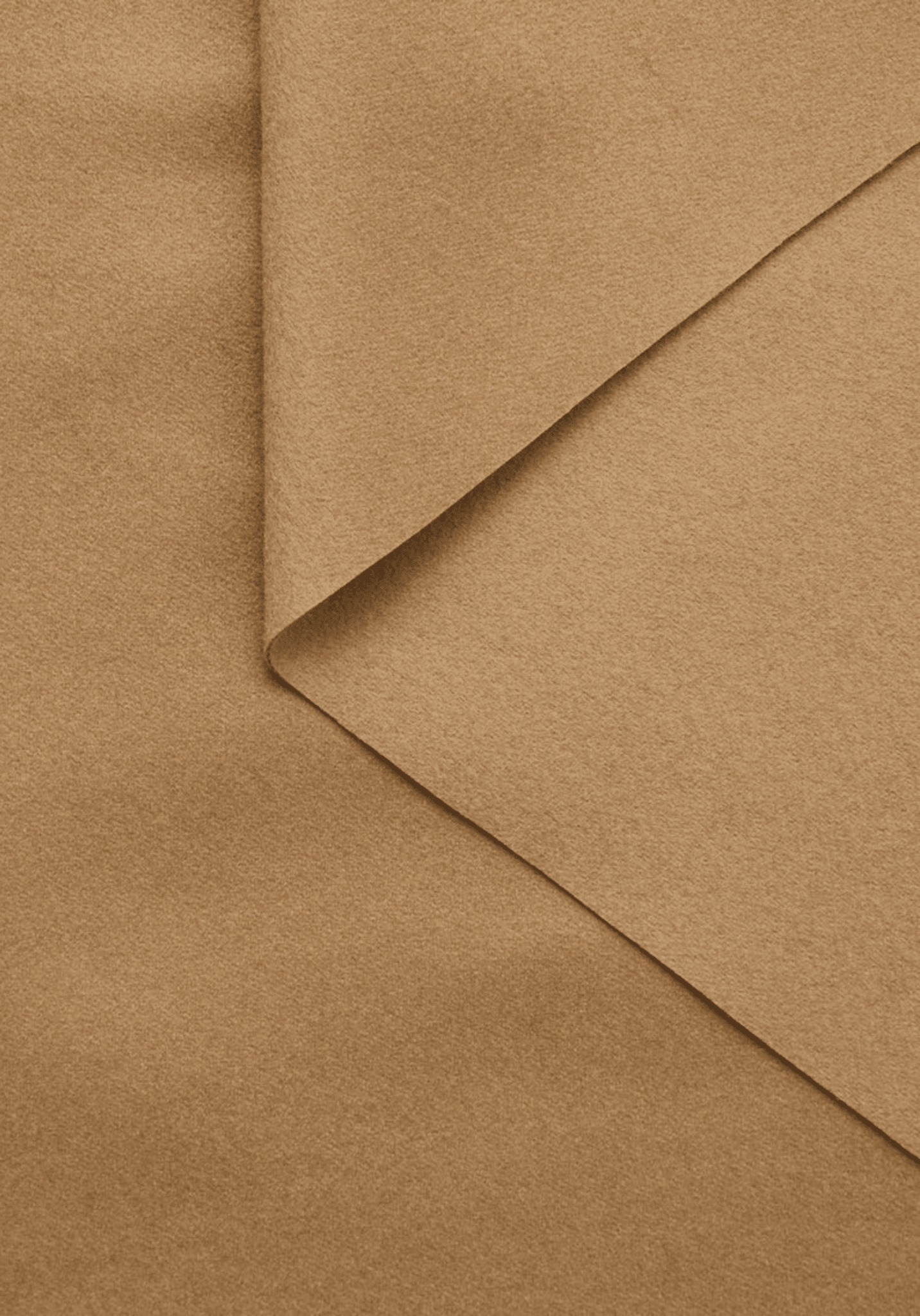 maison-fauve-tissu-manteau-drap-de-laine-bross-camel-428-g-m image 1
